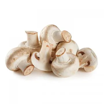 늘바른 국내산 친환경 무농약 양송이버섯2kg