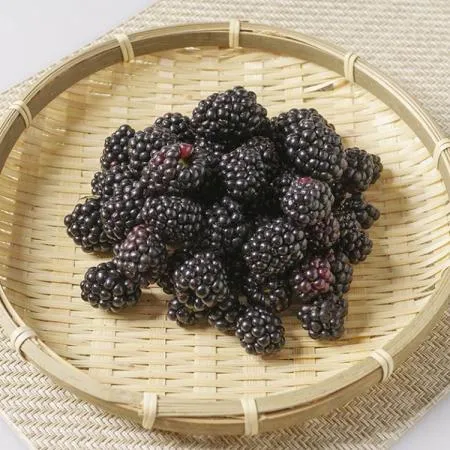 해리농협 복분자5kg(냉동생과)