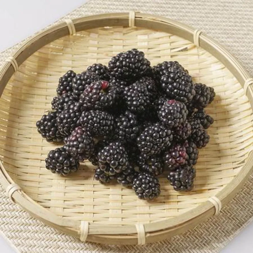 해리농협 복분자5kg(냉동생과) 이미지
