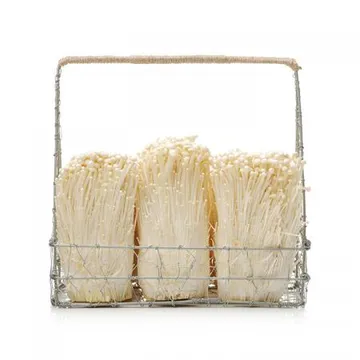 늘바른 국내산 친환경 무농약 팽이버섯(2입)300g2봉지