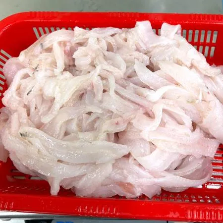 냉동 자연산 물가자미회 1kg 미주구리 물회 기름가자미