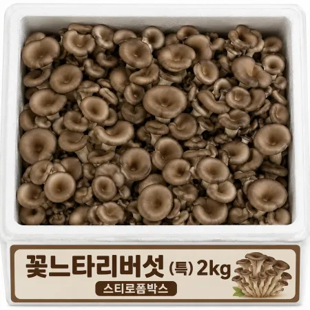 ★알뜰 특가★ 느타리 (특 / 꽃느타리 / 국내산) 2kg box