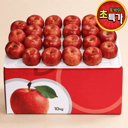 ★과일 특가★ 부사 사과 (25년 / 햇사과 / 한입사과 40내) 10kg