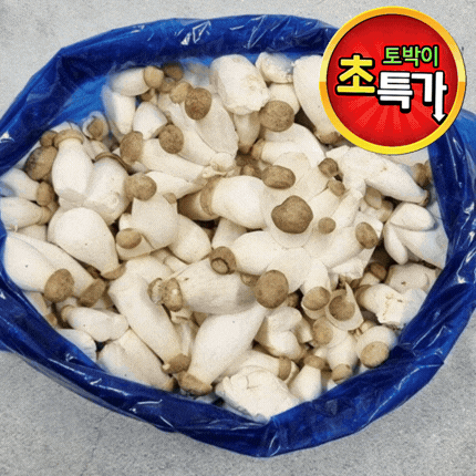 ★알뜰 특가★ 총알 새송이 (대 / 국내산 / 새송이버섯) 2kg box