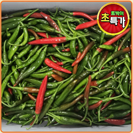 ★알뜰 특가★ 청양고추 (상 / 반홍 소량 포함 / 국내산) 10kg 내외 box
