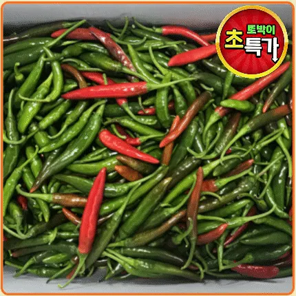★알뜰 특가★ 청양고추 (상 / 반홍 소량 포함 / 국내산) 10kg 내외 box