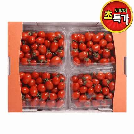 ★과일 특가★ 대추방울토마토 (2호 / 3번 / 빨강) 750g*4ea box