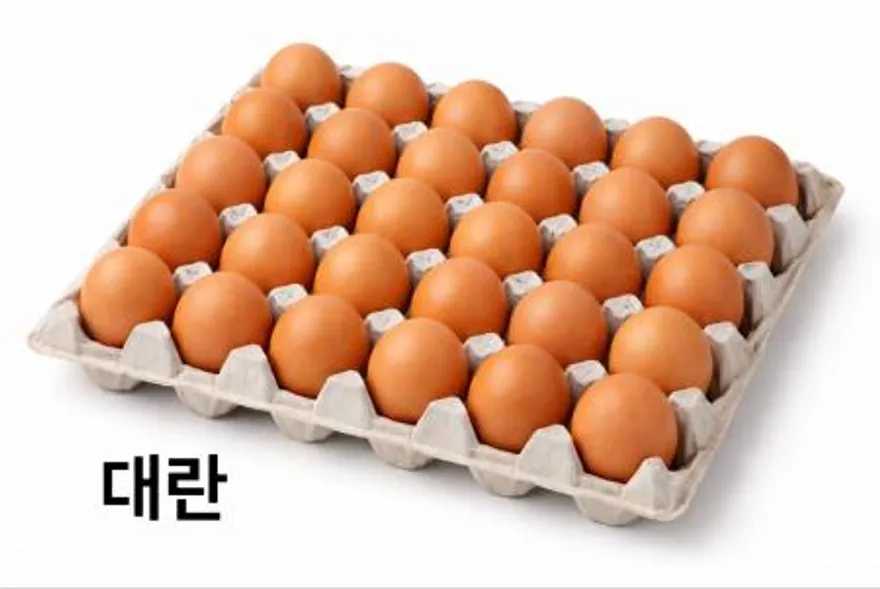 계란(대란/30알/국내산)판 이미지