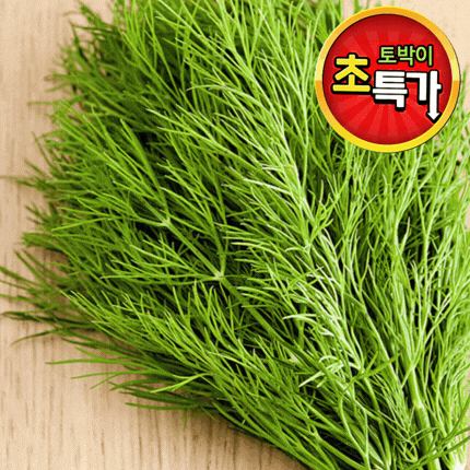 ★알뜰 특가★ 딜 (국내산) 10g pack