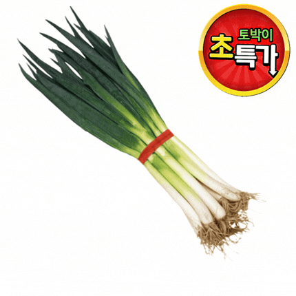 ★알뜰 특가★ 흙 대파 (국내산) 1단