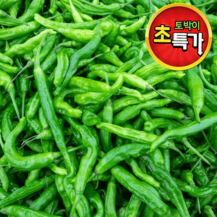 ★알뜰 특가★ 꽈리고추 (상 / 국내산) 4kg 내외 box