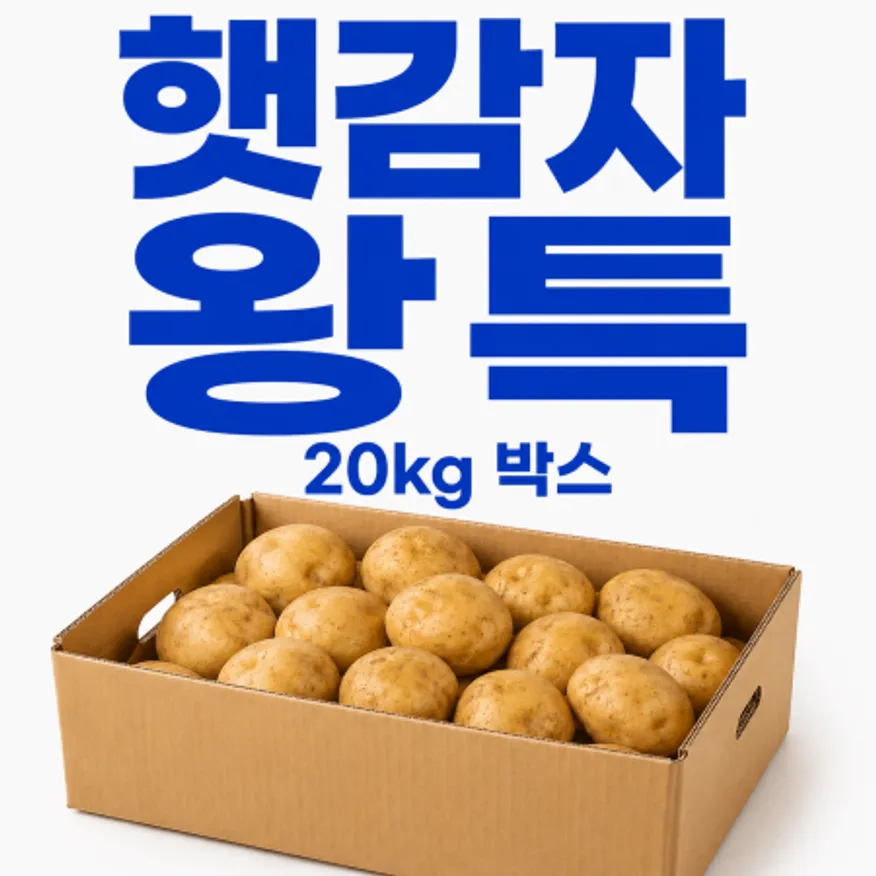 ★알뜰 특가★ 햇감자 (왕특 / 국내산) 20kg box 이미지