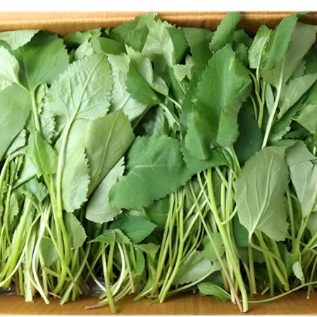 ★알뜰 특가★ 취나물 (국내산) 4kg box