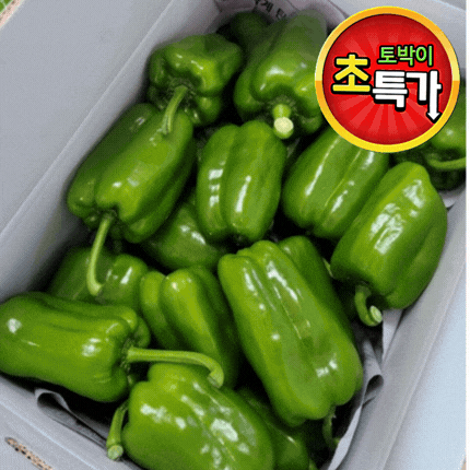 ★알뜰 특가★ 청피망 (상 / 국내산) 10kg 내외 box