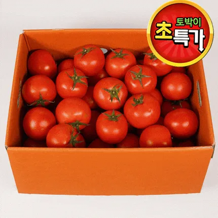 ★과일 특가★ 토마토 (완숙 / 4번 / 34-50과) 5kg