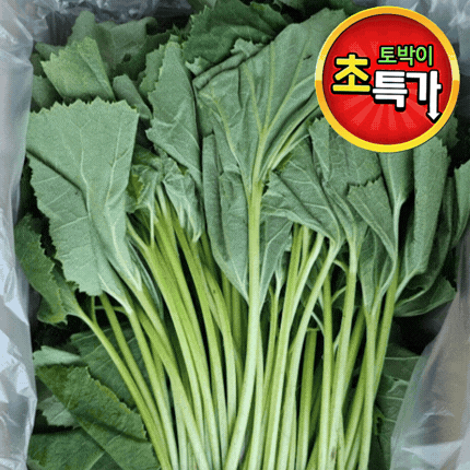 ★알뜰 특가★ 머위잎 (머우잎 / 국내산) 4kg box