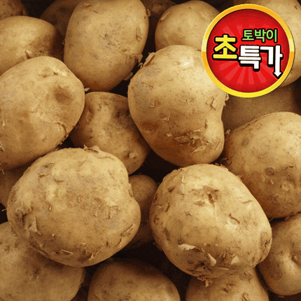 ★알뜰 특가★ 햇감자 (왕왕 / 국내산) 20kg box