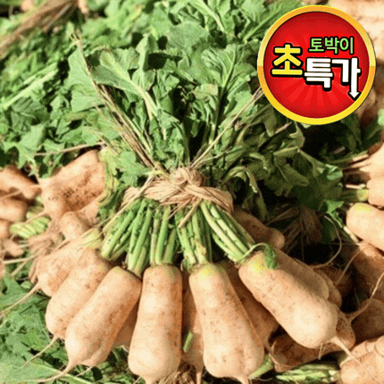 ★알뜰 특가★ 알타리무 (10kg 내외 / 국내산) 5단