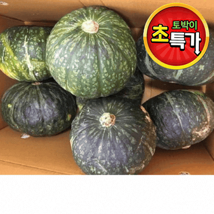 ★알뜰 특가★ [교차 출고] 수입 단호박 (8-11수 / 수입산) box