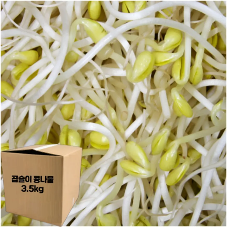 ★알뜰 특가★ 곱슬이 콩나물 (수입콩 / 국내제조) 3.5kg (±10%) box 이미지