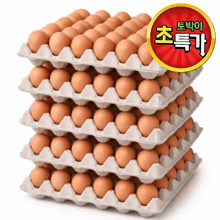계란(특란/30알)판❤️초특가❤️