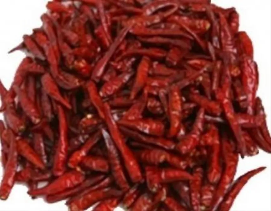 베트남건고추(떙초) 이미지