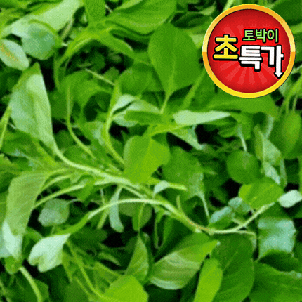 ★알뜰 특가★ 비름나물 (국내산) 4kg box