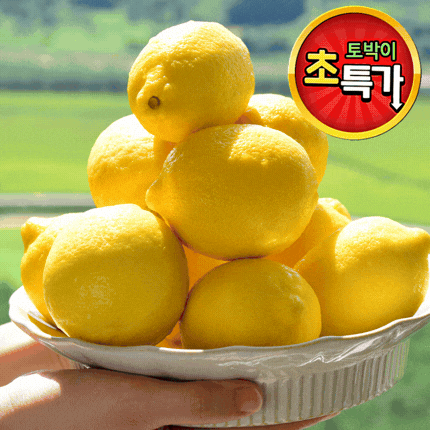 ★알뜰 특가★ 레몬 (개당 100g 내외 / 미국산) 10ea