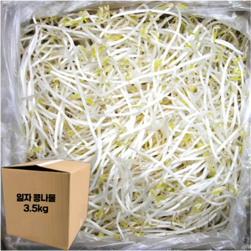 ★알뜰 특가★ 일자 콩나물 (수입콩 / 국내제조) 3.5kg (±10%) box 이미지