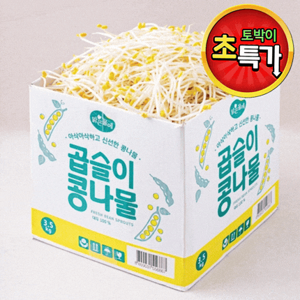 ★알뜰 특가★ 곱슬이 콩나물 (수입콩 / 국내제조) 3.5kg (±10%) box
