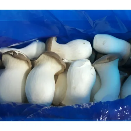 ★알뜰 특가★ 새송이 (새송이버섯 / 상 / 국내산) 2kg box