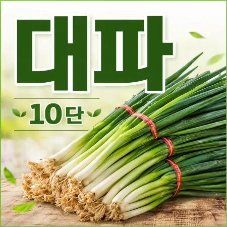 ★알뜰 특가★ 흙 대파 (국내산) 10단