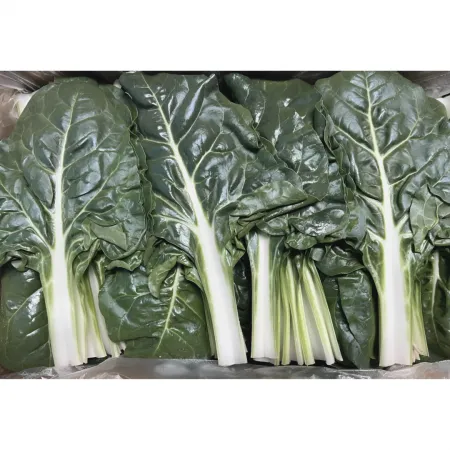 ★알뜰 특가★ 근대 (국내산) 4kg box
