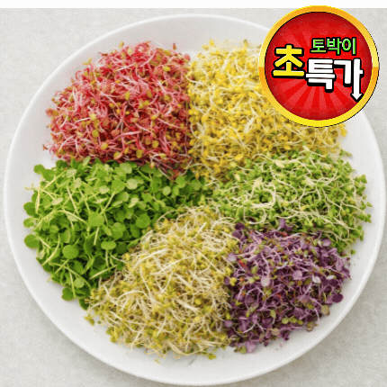 ★알뜰 특가★ 모듬새싹 (소 / 국내산) 50g pack