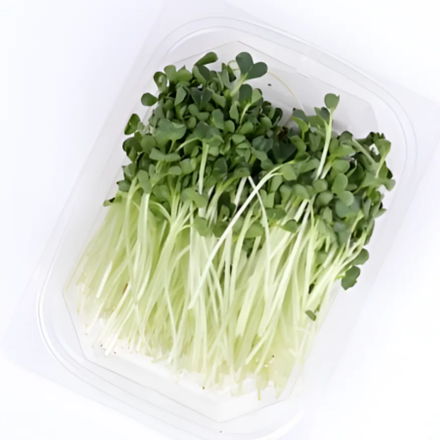 ★알뜰 특가★ 무순 (중 / 국내산) 150g pack 이미지
