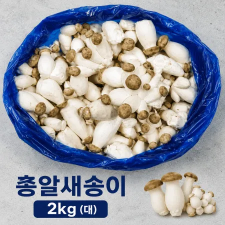★알뜰 특가★ 총알 새송이 (대 / 국내산 / 새송이버섯) 2kg box