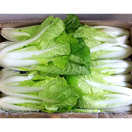★알뜰 특가★ 얼갈이 (국내산) 4kg box