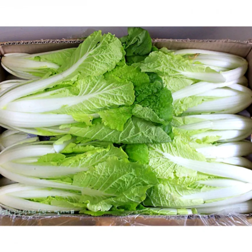 ★알뜰 특가★ 얼갈이 (국내산) 4kg box 이미지