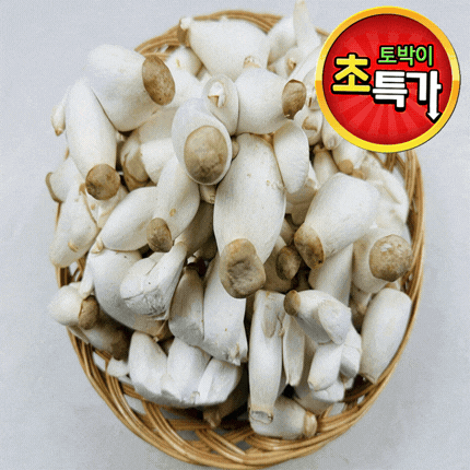 ★알뜰 특가★ 총알 새송이 (소 / 국내산 / 새송이버섯) 2kg box