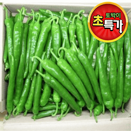 ★알뜰 특가★ 아삭이고추 (상 / 벌크 / 오이고추 / 국내산) 10kg 내외 box
