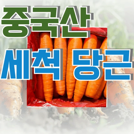 ⭐첫구매 특가⭐ 세척 당근 10kg 박스 (2-3L / 중국산 / 상품 상세설명 참조)