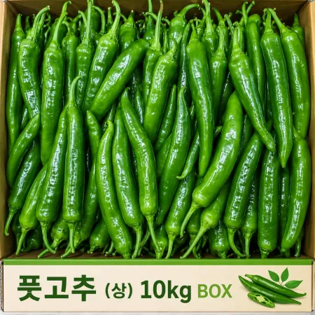 ★알뜰 특가★ 풋고추 (상 / 국내산) 10kg 내외 box