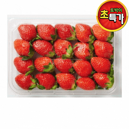 ★과일 특가★ 설향 딸기 (3~5 / 24-32입 / 당일경매) 500g