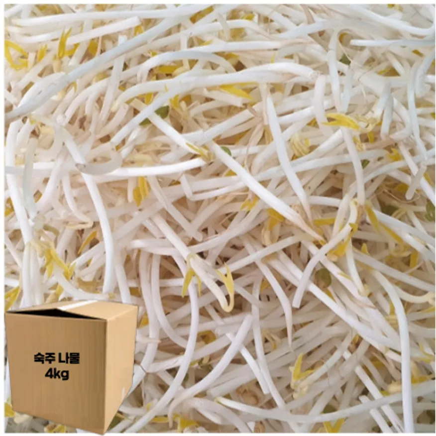 ★알뜰 특가★ 숙주 (수입콩 / 국내제조) 3.5kg (±10%) box 이미지