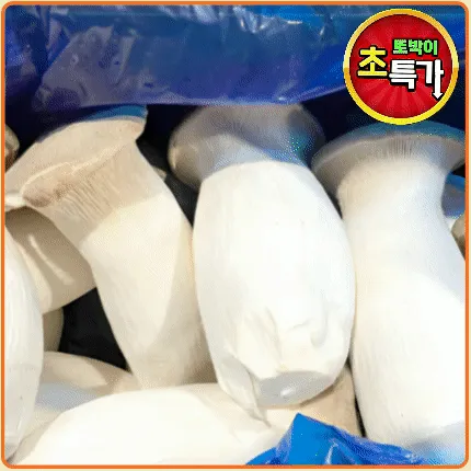 ★알뜰 특가★ 새송이 (새송이버섯 / 상 / 국내산) 2kg box