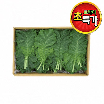★알뜰 특가★ 청겨자 (특 / 국내산) 2kg box