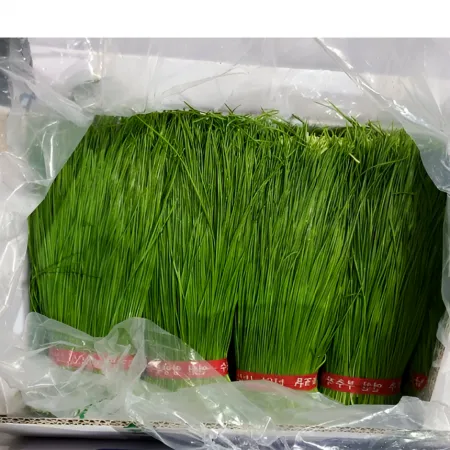 ★알뜰 특가★ 부추 (특 A / 20단 / 국내산) 10kg 내외 box