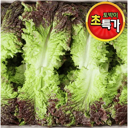 ★알뜰 특가★ 적상추 (상 / 국내산) 4kg box