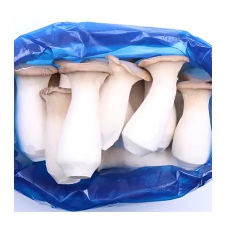 ★알뜰 특가★ 새송이 (새송이버섯 / 특 / 국내산) 2kg box