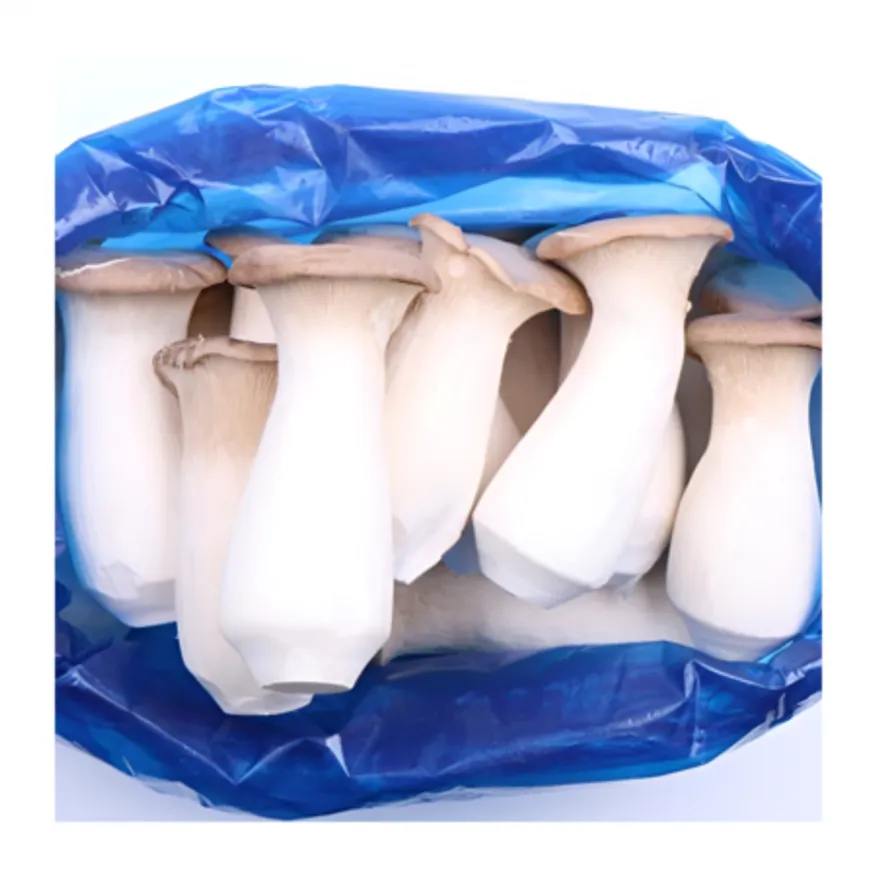 ★알뜰 특가★ 새송이 (새송이버섯 / 특 / 국내산) 2kg box 이미지